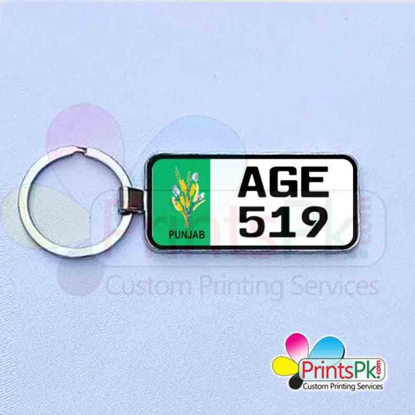 Punjab Number Plate keychain, number plate online