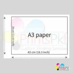 A3 Photo Printing Online in Pakistan